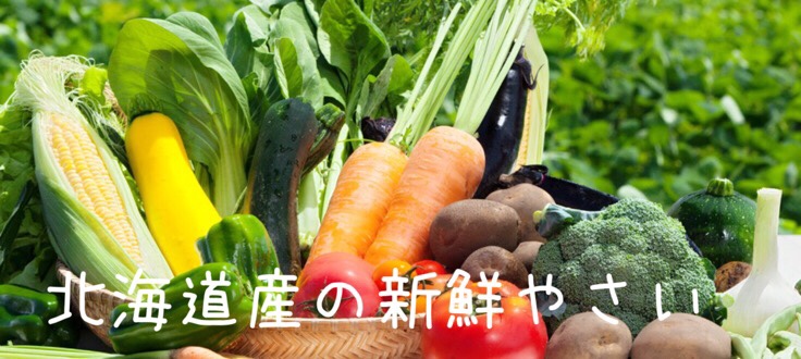 北海道産新鮮やさい