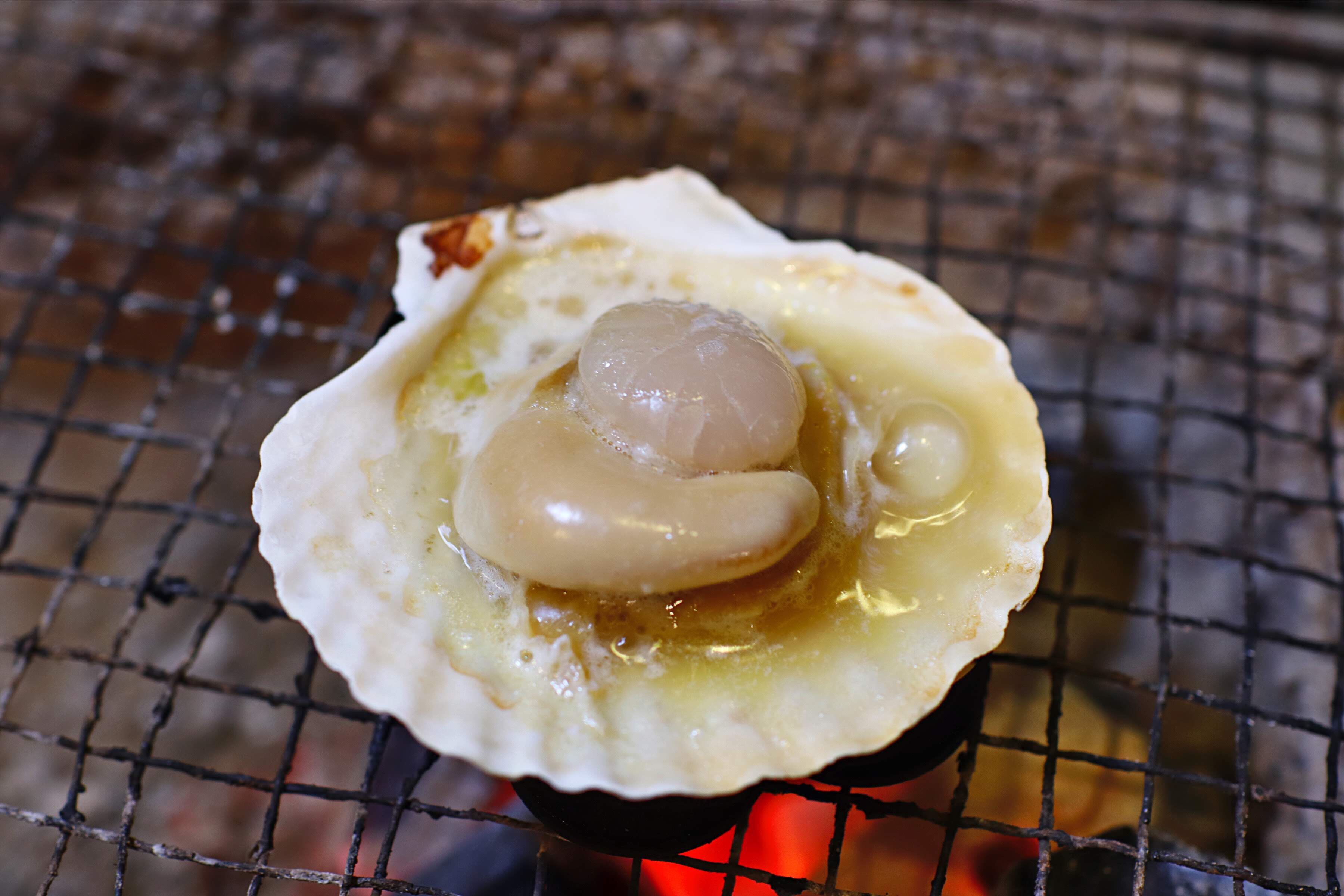 ホタテ